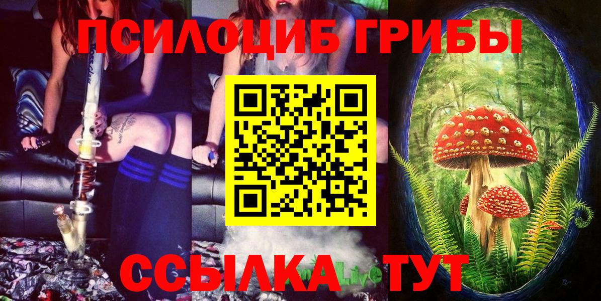 Галлюциногенные грибы мухоморы Псков