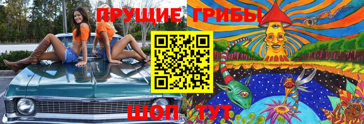Галлюциногенные грибы Psilocybine cubensis  Вход с VPN  Псков 